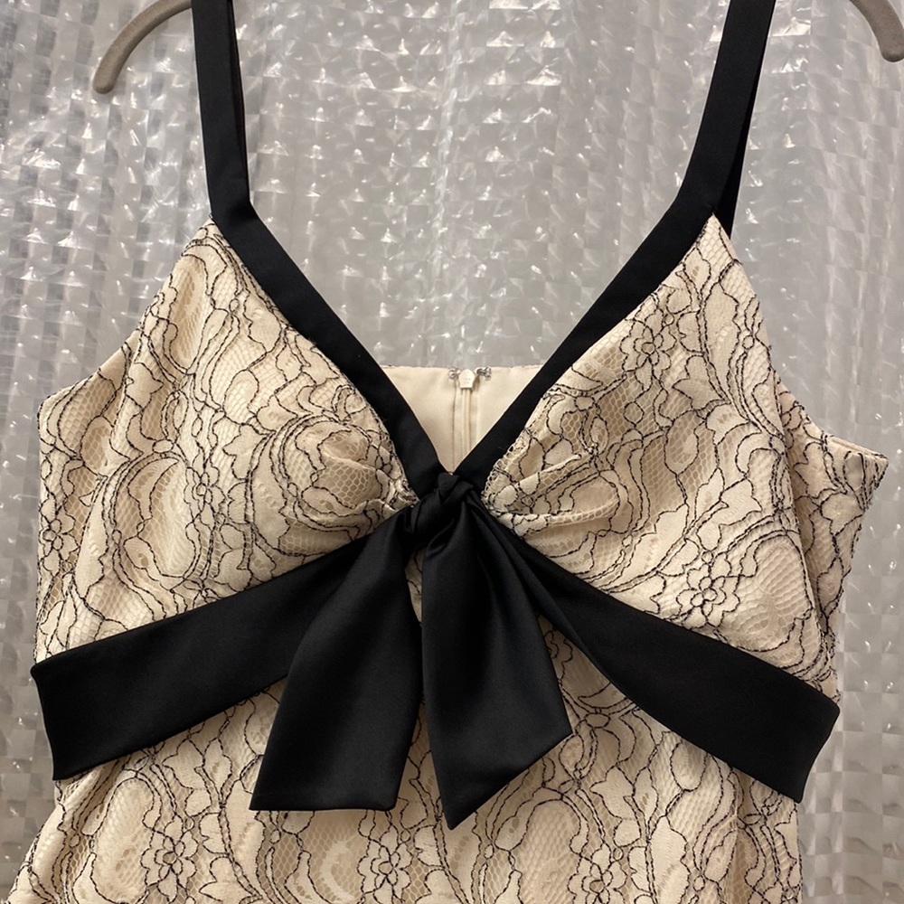 Size 16 Lace Dressbarn Collection Knee Length dress